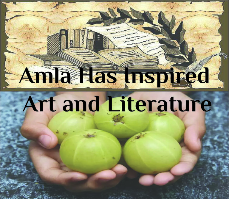 How Amla Has Inspired Art and Literature