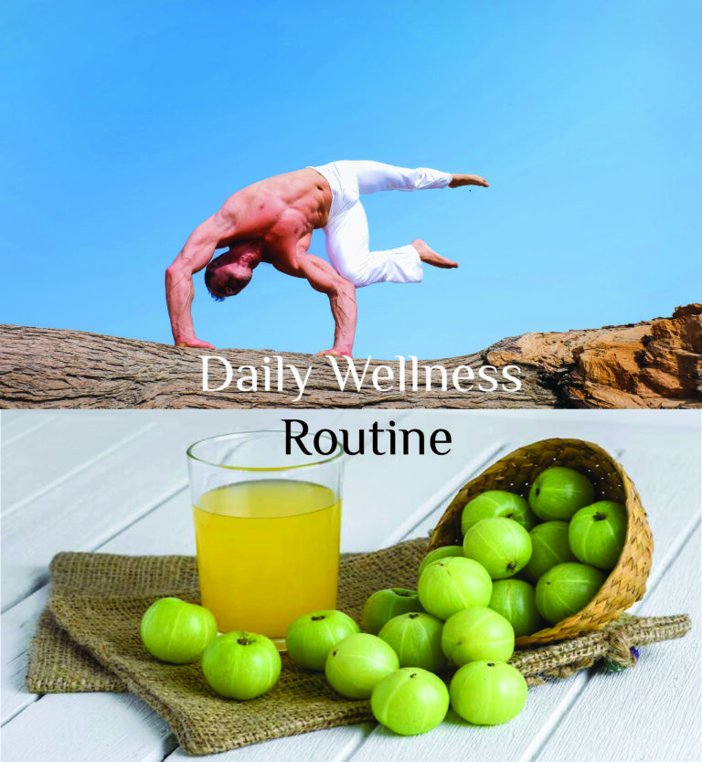 Incorporating Amla into Your Daily Wellness Routine